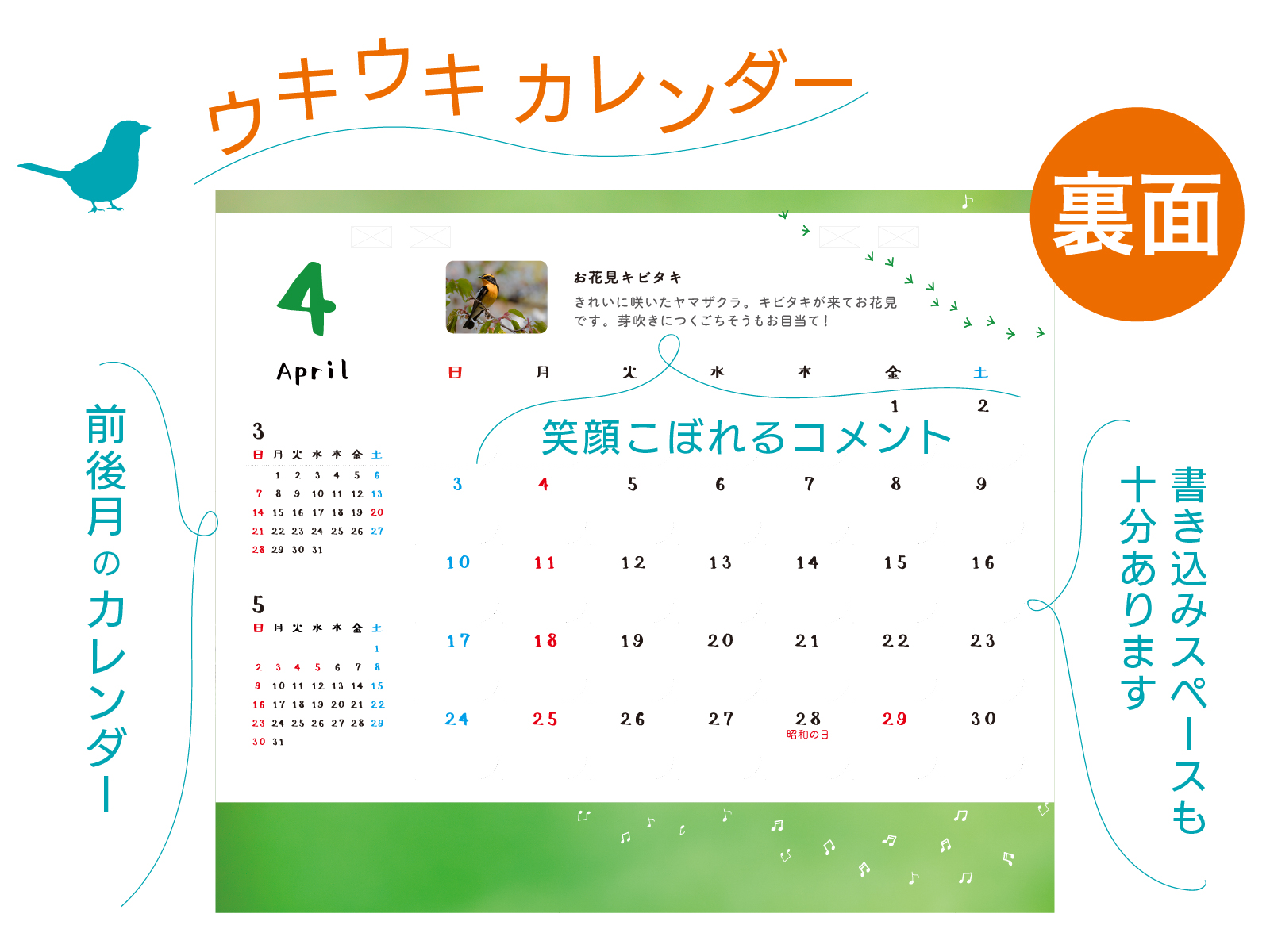 令和3年 21年 かわいい小鳥カレンダー 卓上タイプ コブハクチョウ トラツグミ カワラヒワ キビタキ オオルリ カヤクグリ ウソ ルリビタキ ヤマガラ ダイサギ オオムシクイ ジョウビタキ 写真家kankan シンラショップ