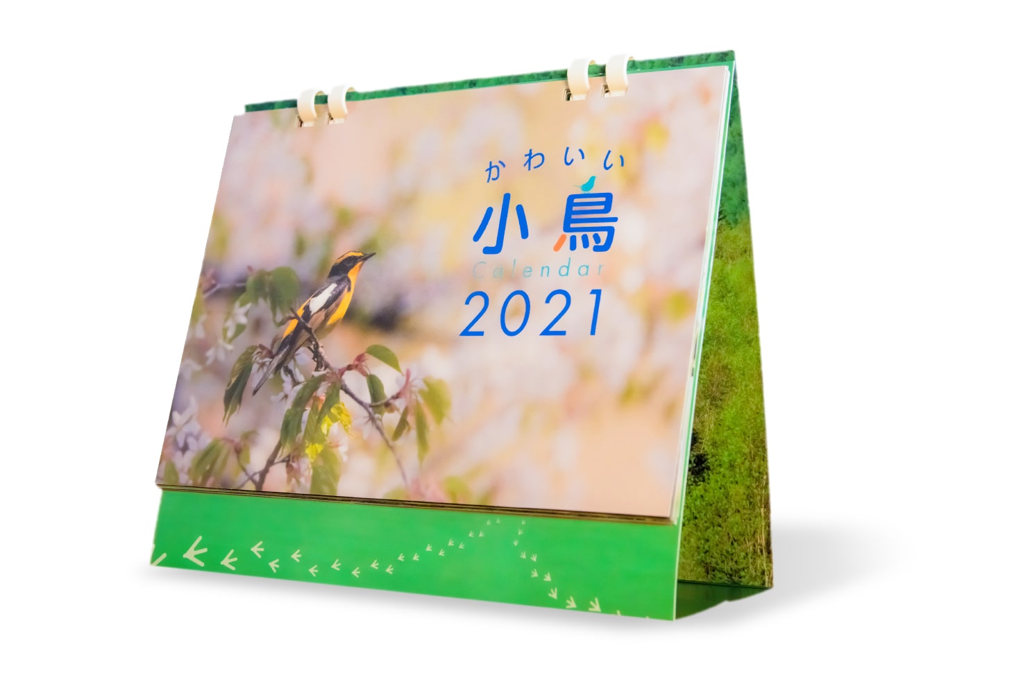 令和3年 21年 かわいい小鳥カレンダー 卓上タイプ コブハクチョウ トラツグミ カワラヒワ キビタキ オオルリ カヤクグリ ウソ ルリビタキ ヤマガラ ダイサギ オオムシクイ ジョウビタキ 写真家kankan シンラショップ